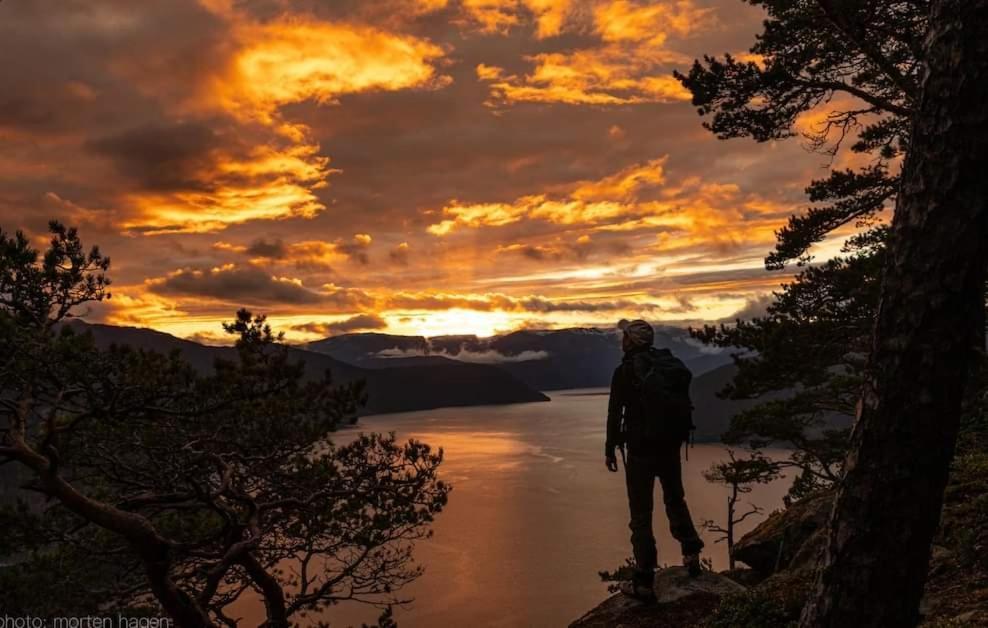 Nedre Amla Fjord Apartment Kaupanger Eksteriør billede